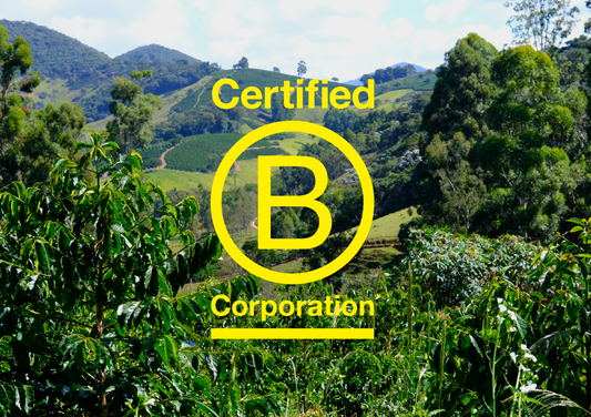 B-Corp & Coffee: To B or not to B