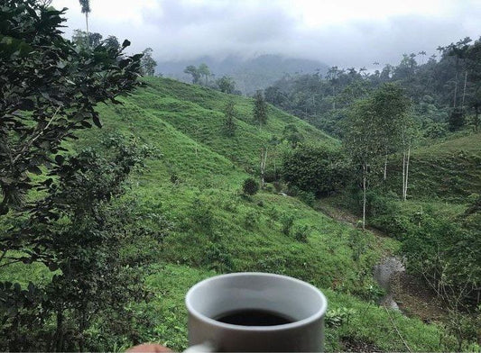 Ecuador, the new coffee on the Wakuli block