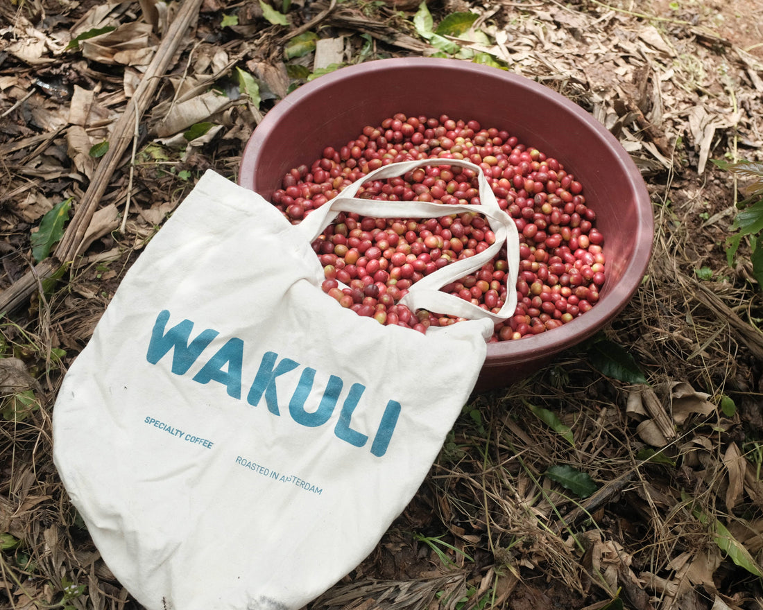 Wakuli tas en koffiebonen op grond - Wakuli direct trade koffiebonen