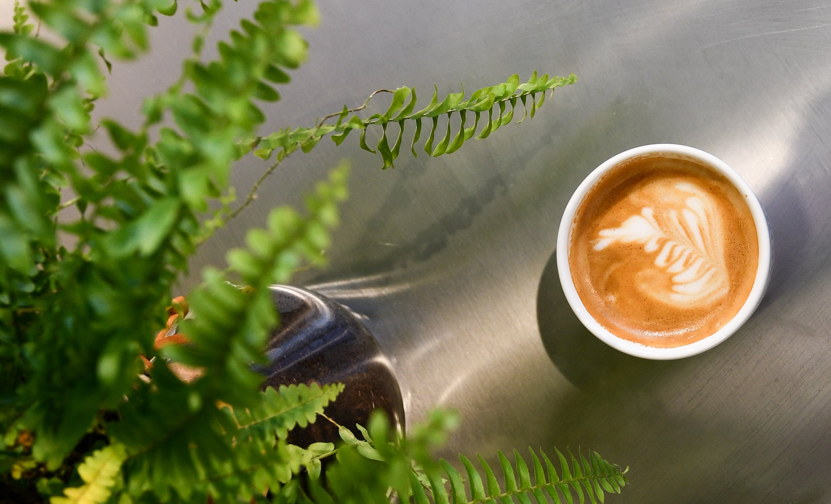Duurzame koffiecups - Cappuccino met latte art op een tafel, van bovenaf gefotografeerd. Groene plant aan de linkerkant van het beeld.